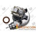 SD EXTRACTOR THELIA