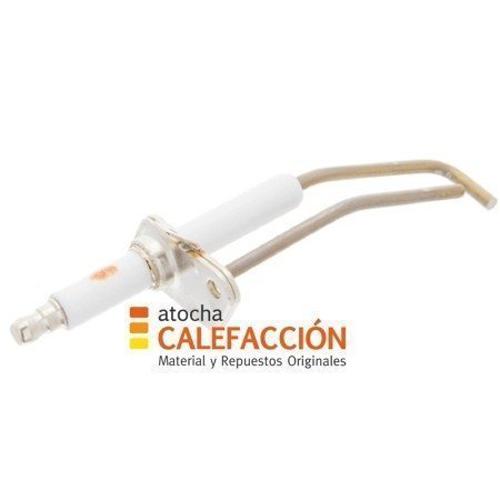 ELECTRODO