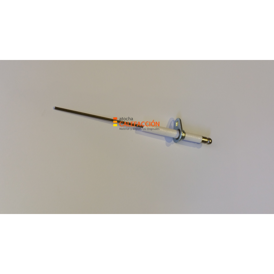 SONDA IONIZACION NG-100
