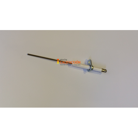 SONDA IONIZACION NG-100