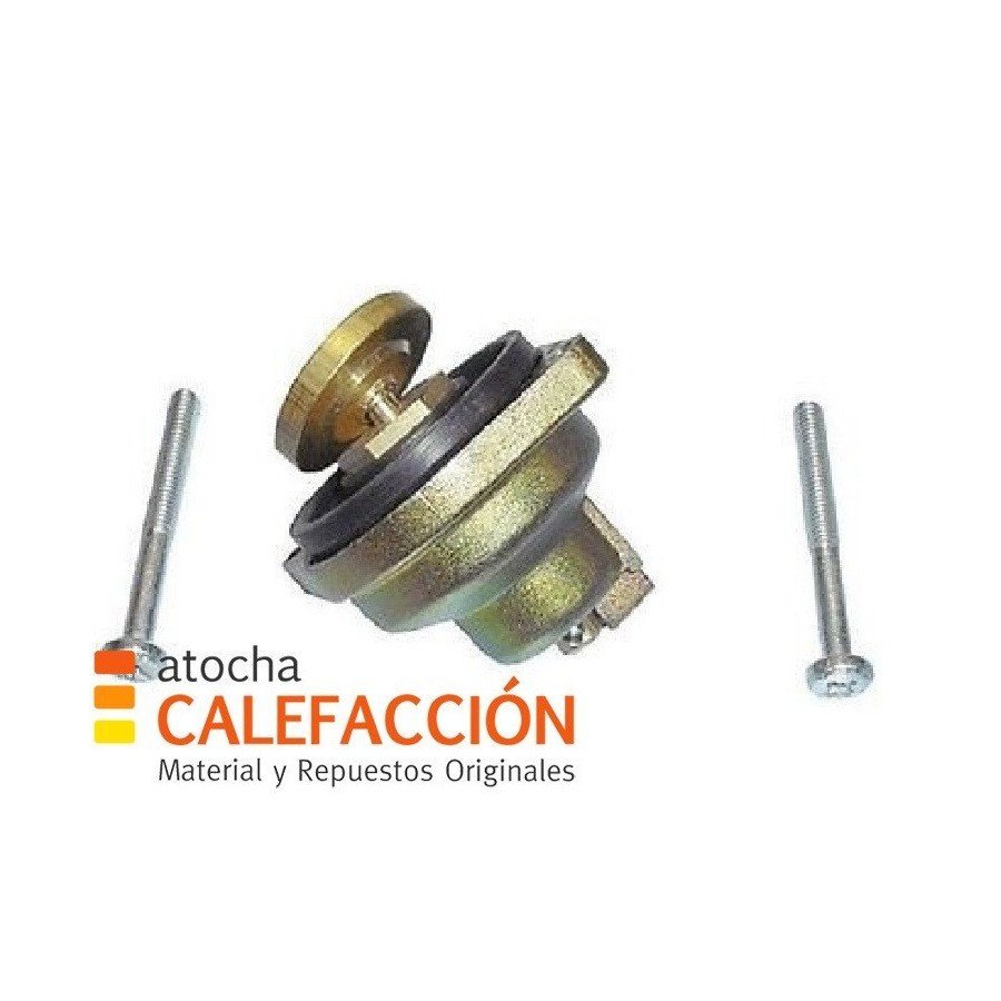 CABEZA SEGURIDAD