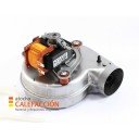 VENTILADOR FERROLI