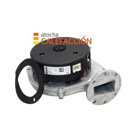 EXTRACTOR